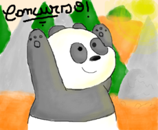 Panda (Concurso)