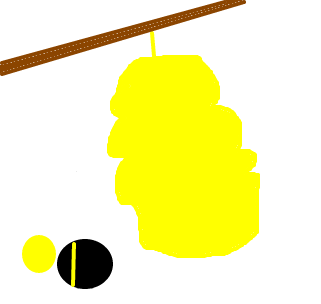 colmÃ©ia / nem deu p desenha a abelha