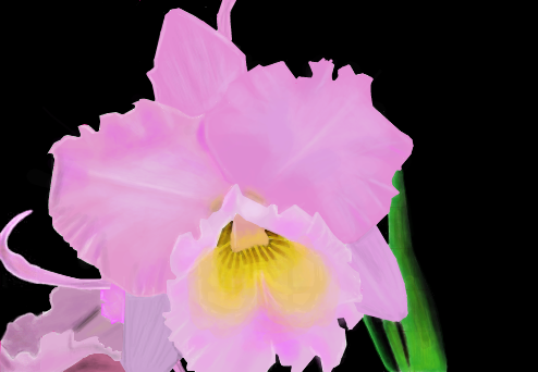 Orquídea - p/ Lays_Lp
