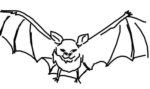 Como desenhar um morcego 