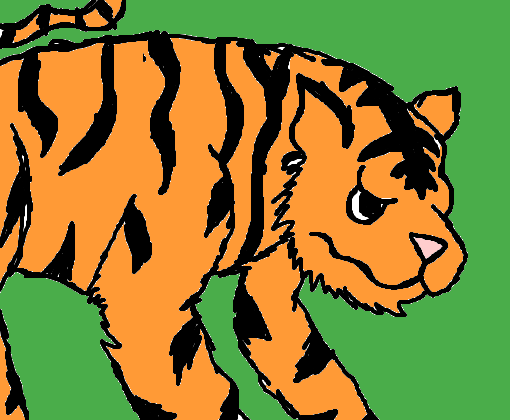 Tigre pra May <33