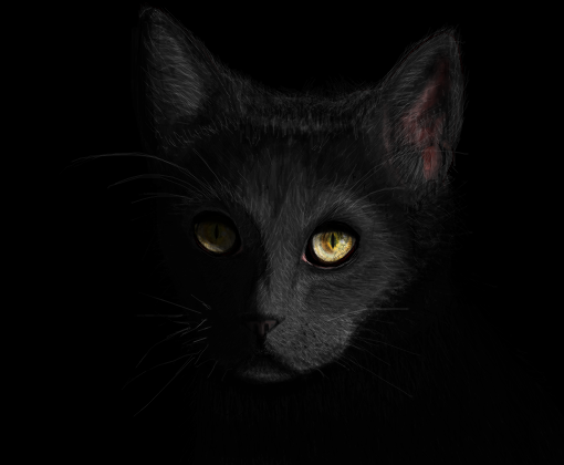 Gato Salem