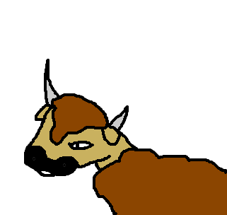 bisão
