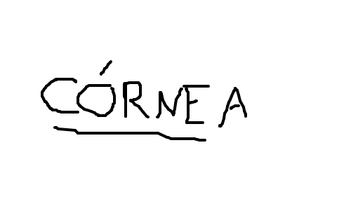córnea