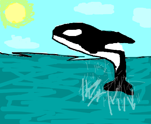 Orca 