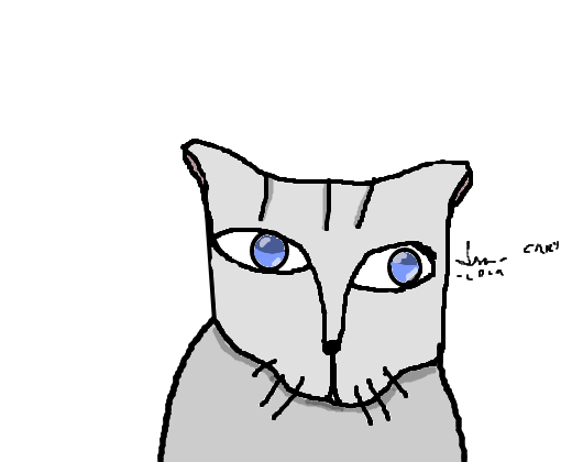 gato-cinza