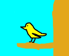 Pássaro Amarelo!