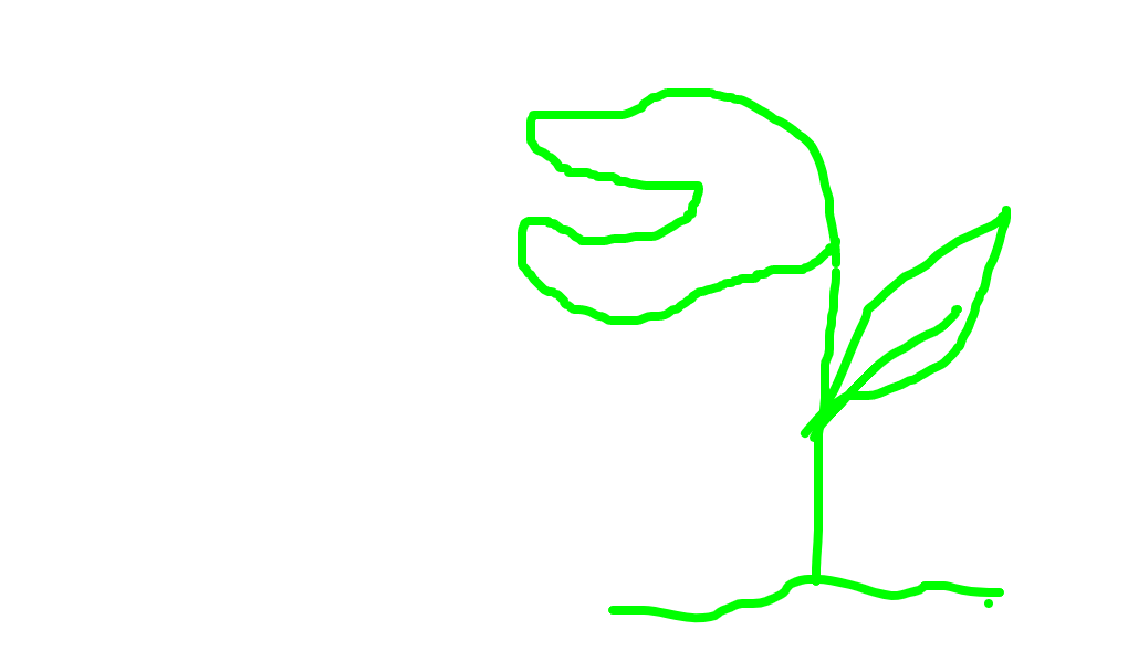 planta carnívora