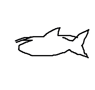 tubarão