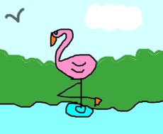 Flamingo Rosa