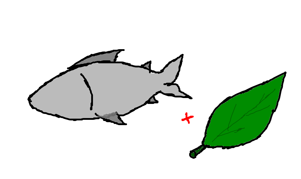 peixe-folha