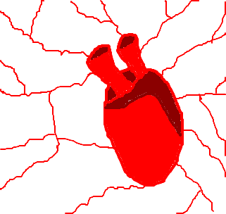 artéria