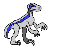 blue velociraptor