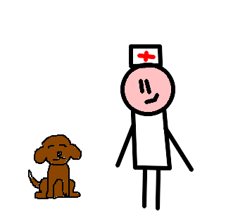 veterinário