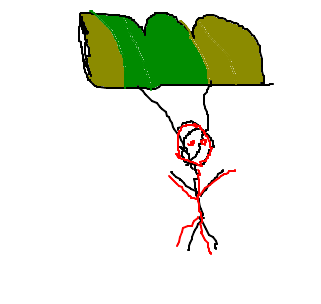 Paraquedista