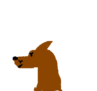 lobo da tasmânia
