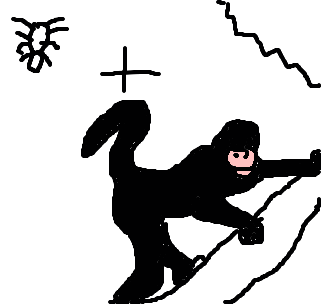 macaco-aranha