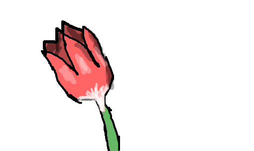 tulipa pra iza brisa