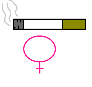 cigarra
