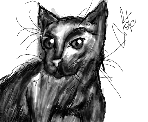 segundo desenho Gato
