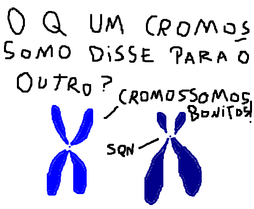 o que um cromossomo disse para o outro?