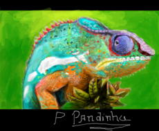 camaleão colorido p/pandinha