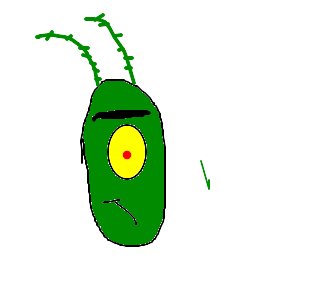 plankton