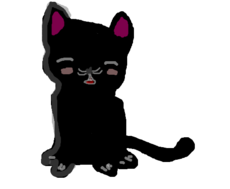 black cat ksksk