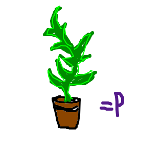planta