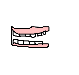 dentadura
