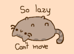 cat lazy