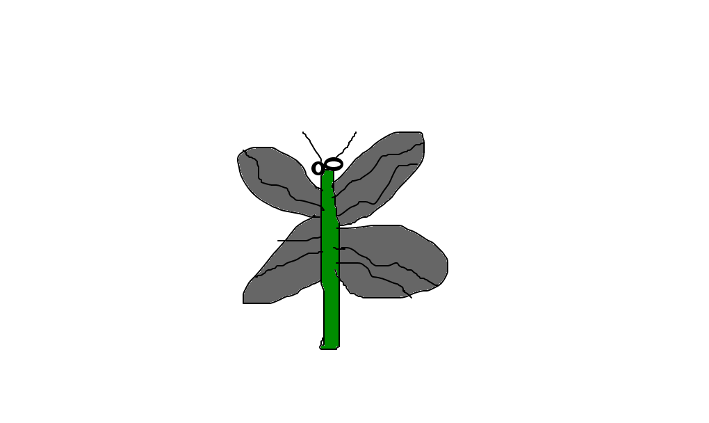 libélula
