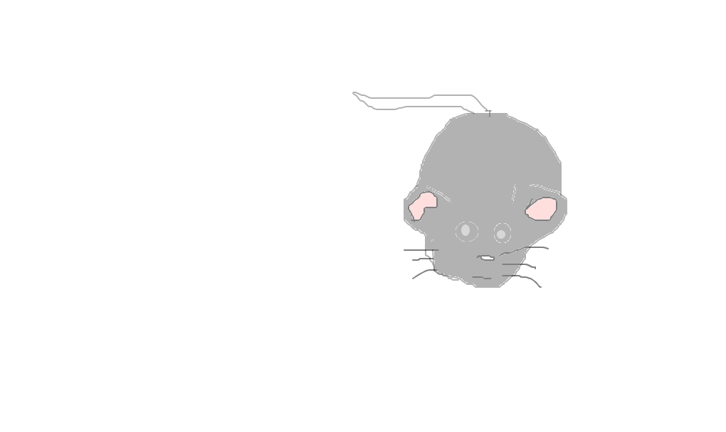 rato
