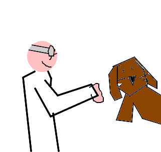 veterinário