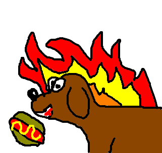 cachorro-quente