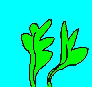 aspargo