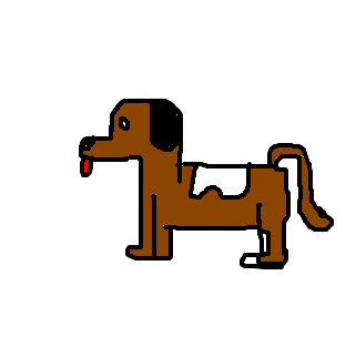 Cachorro