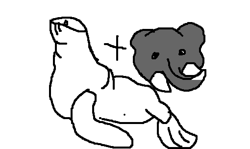 foca-elefante