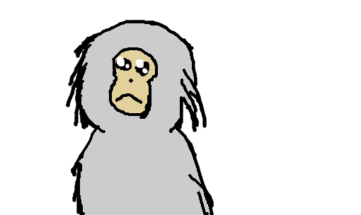 mico-leão-prateado