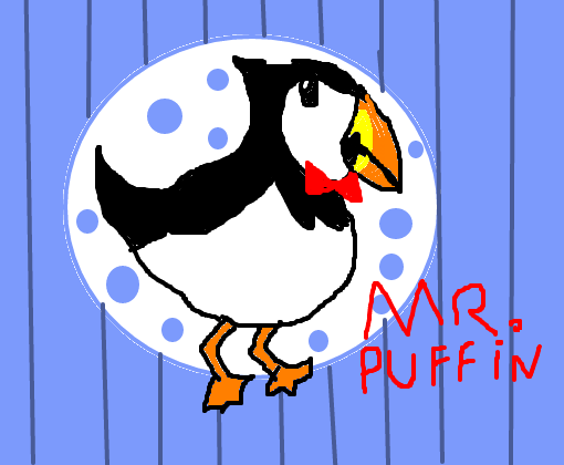 Mr.Puffin
