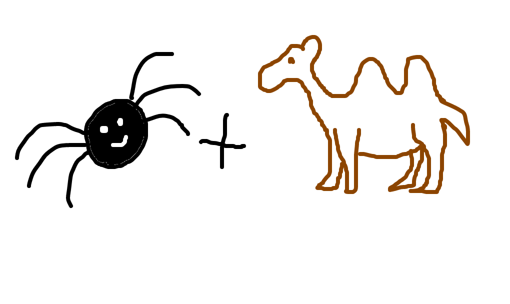 aranha-camelo