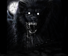 Wolf in the dark