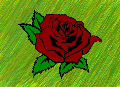 Uma rosa pra Zoy