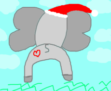 elefantímido natalino