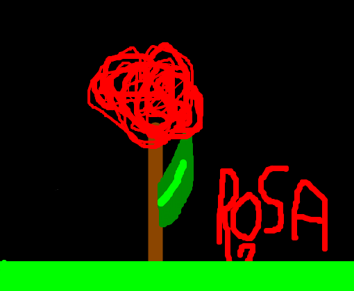 rosa em um jardim