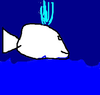 baleia branca