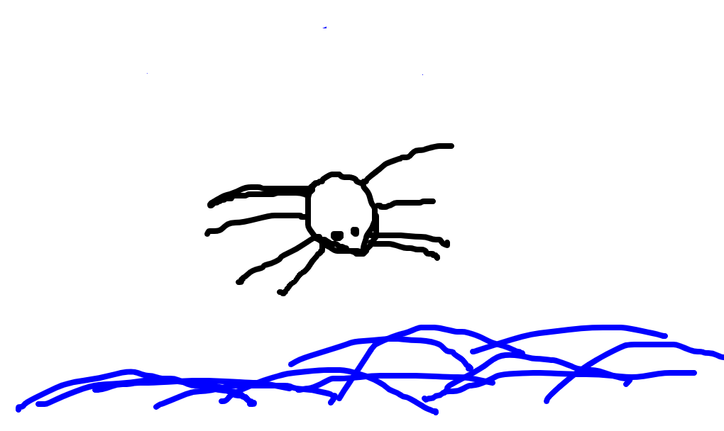 aranha-do-mar