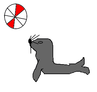 foca