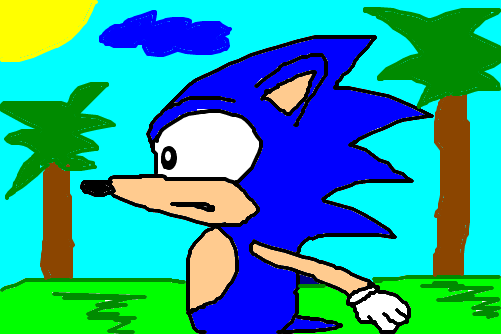 Sonic no quintal