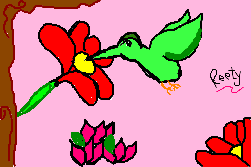 Beija-flor
